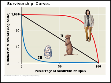 Survivorship Curves