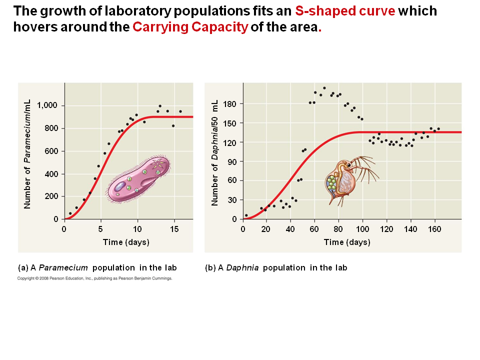 The Logistic Model And Real Populations