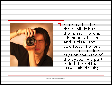After light enters the pupil, it hits the lens. The lens sits behind the iris and is clear and colorless. The lens' job is to focus light rays on the back of the eyeball - a part called the retina (say: reh-tin-uh).
