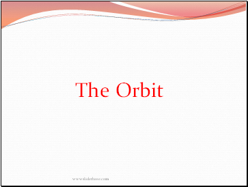 The Orbit