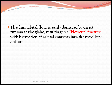 The thin orbital floor is easily damaged by direct trauma to the globe, resulting in a "blowout" fracture with herniation of orbital contents into the maxillary antrum.