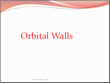 Orbital Walls