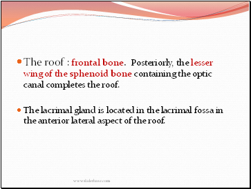The roof : frontal bone. Posteriorly, the lesser wing of the sphenoid bone containing the optic canal completes the roof.
