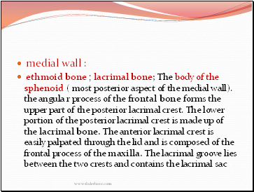 medial wall :