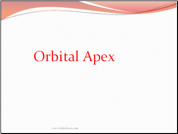Orbital Apex