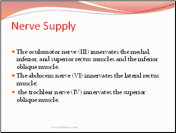 Nerve Supply