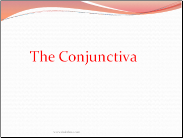 The Conjunctiva