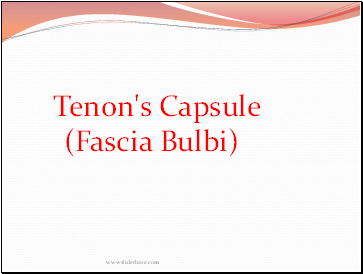 Tenon's Capsule (Fascia Bulbi)