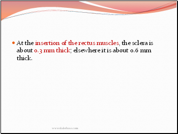 At the insertion of the rectus muscles, the sclera is about 0.3 mm thick; elsewhere it is about 0.6 mm thick.