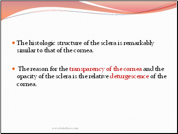 The histologic structure of the sclera is remarkably similar to that of the cornea.