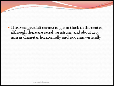 The average adult cornea is 550 m thick in the center, although there are racial variations, and about 11.75 mm in diameter horizontally and 10.6 mm vertically.