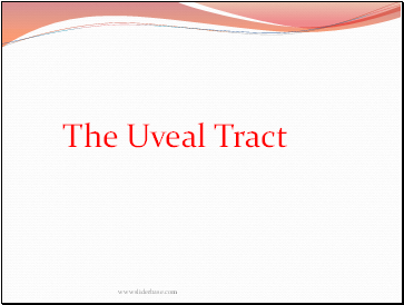 The Uveal Tract