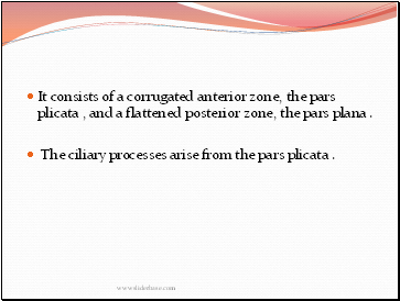 It consists of a corrugated anterior zone, the pars plicata , and a flattened posterior zone, the pars plana .