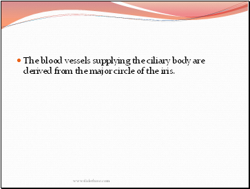 The blood vessels supplying the ciliary body are derived from the major circle of the iris.