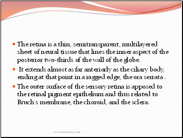 The retina is a thin, semitransparent, multilayered sheet of neural tissue that lines the inner aspect of the posterior two-thirds of the wall of the globe.