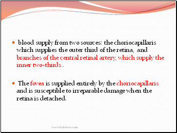 blood supply from two sources: the choriocapillaris which supplies the outer third of the retina, and branches of the central retinal artery, which supply the inner two-thirds .