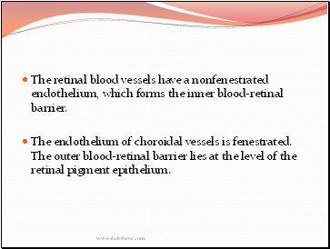 The retinal blood vessels have a nonfenestrated endothelium, which forms the inner blood-retinal barrier.