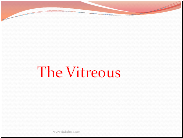 The Vitreous