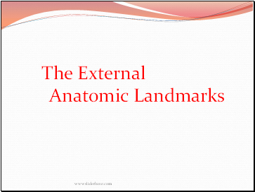 The External Anatomic Landmarks