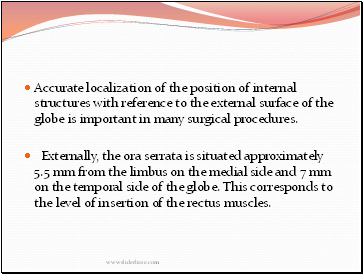 Accurate localization of the position of internal structures with reference to the external surface of the globe is important in many surgical procedures.