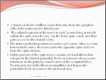 consists of about 1 million axons that arise from the ganglion cells of the retina (nerve fiber layer).