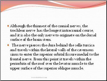 Although the thinnest of the cranial nerves, the trochlear nerve has the longest intracranial course, and it is also the only nerve to originate on the dorsal surface of the brain stem.