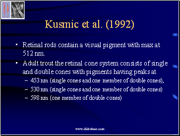 Kusmic et al. (1992)