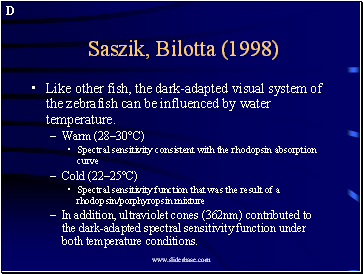 Saszik, Bilotta (1998)