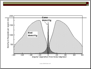 Rods and Cones