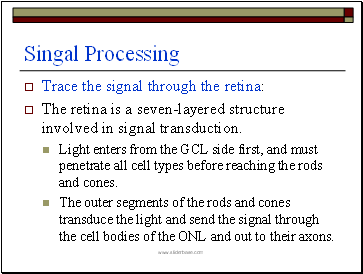 Singal Processing