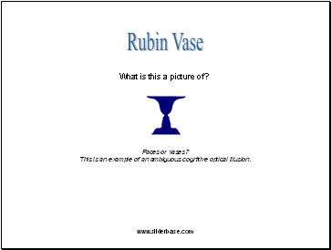 Rubin Vase