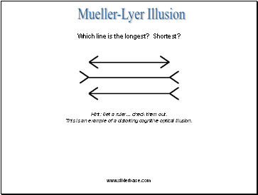 Mueller-Lyer Illusion