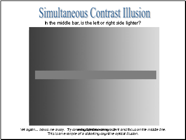 Simultaneous Contrast Illusion