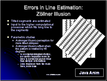 Errors in Line Estimation: Zöllner Illusion
