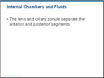 Internal Chambers and Fluids