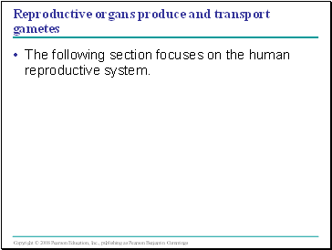 Reproductive organs produce and transport gametes