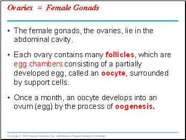 Ovaries = Female Gonads