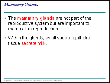 Mammary Glands