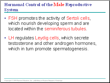 Hormonal Control of the Male Reproductive System