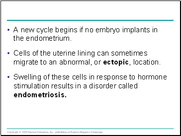 A new cycle begins if no embryo implants in the endometrium.