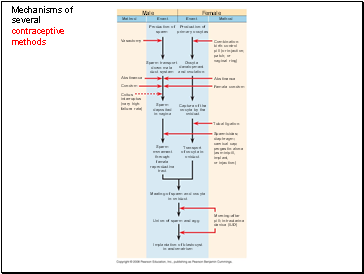 Mechanisms of several contraceptive methods