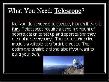 What You Need: Telescope?