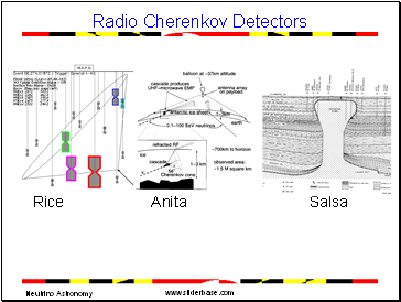 Radio Cherenkov Detectors