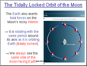 The Tidally Locked Orbit of the Moon