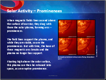 Solar Activity  Prominences