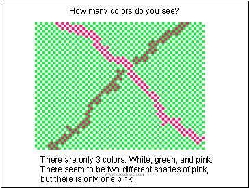 How many colors do you see?