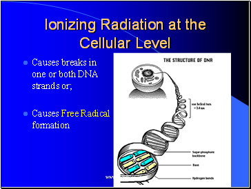 Ionizing Radiation at the Cellular Level