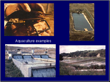 Aquaculture examples