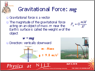 Gravitational Force: mg