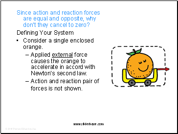 Since action and reaction forces are equal and opposite, why dont they cancel to zero?